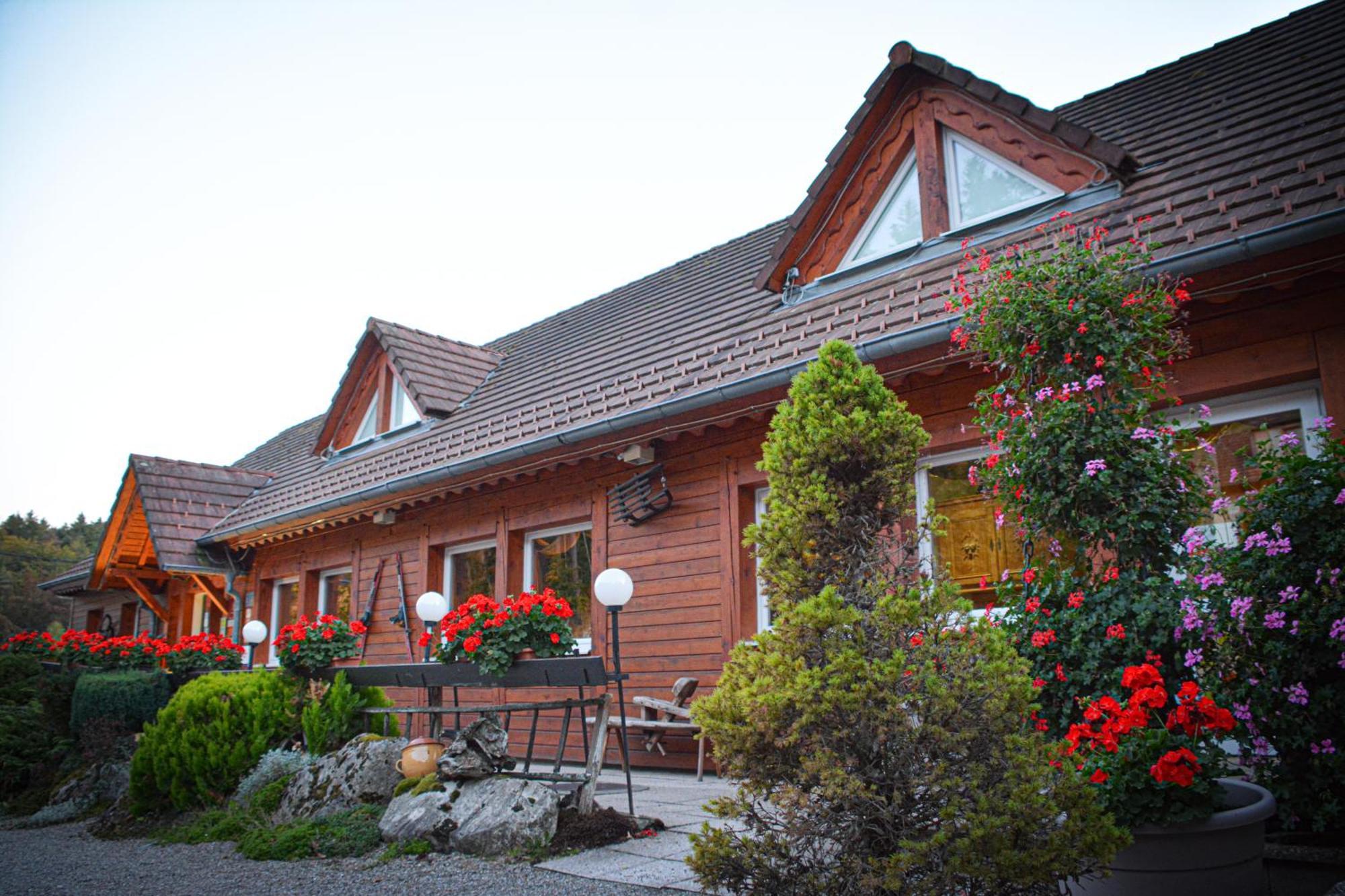 Logis Hotel Restaurant La Petite Auberge Alsace Le Hohwald Kültér fotó
